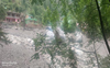 Early warning system sought in flood-prone Kullu, Mandi areas