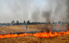 ~2,500/acre incentive for not burning paddy straw