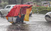 Most of Haryana, Punjab receive surplus rains as monsoon picks up pace