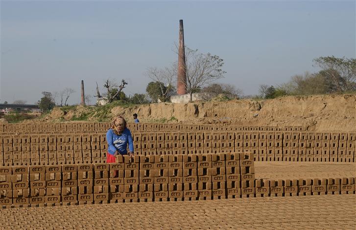 THREAT TO ENVIRONMENT: Coal prices rise, brick-kilns using carbon powder as fuel in Punjab