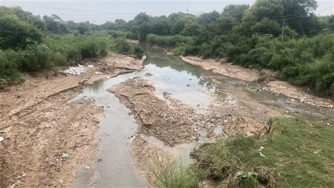 Will plug discharge of sewage by Aug 31: Chandigarh
