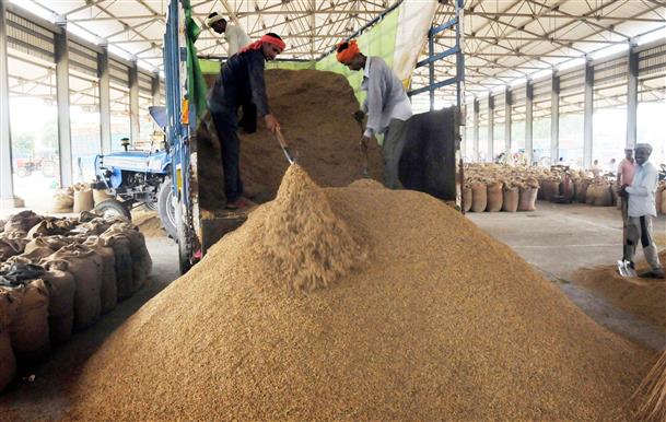 Haryana rice exporters want reduction in market fee on basmati paddy