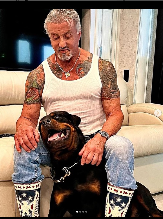 Sylvester Stallone's tattoo coverup sparks rumours of marriage troubles,  actor explains