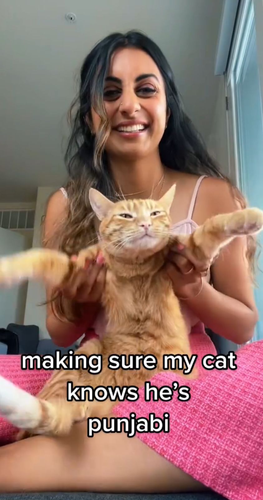 This cat is pure Punjabi, proves it with graceful Bhangra moves on 'Heer majajan aayi' in viral video