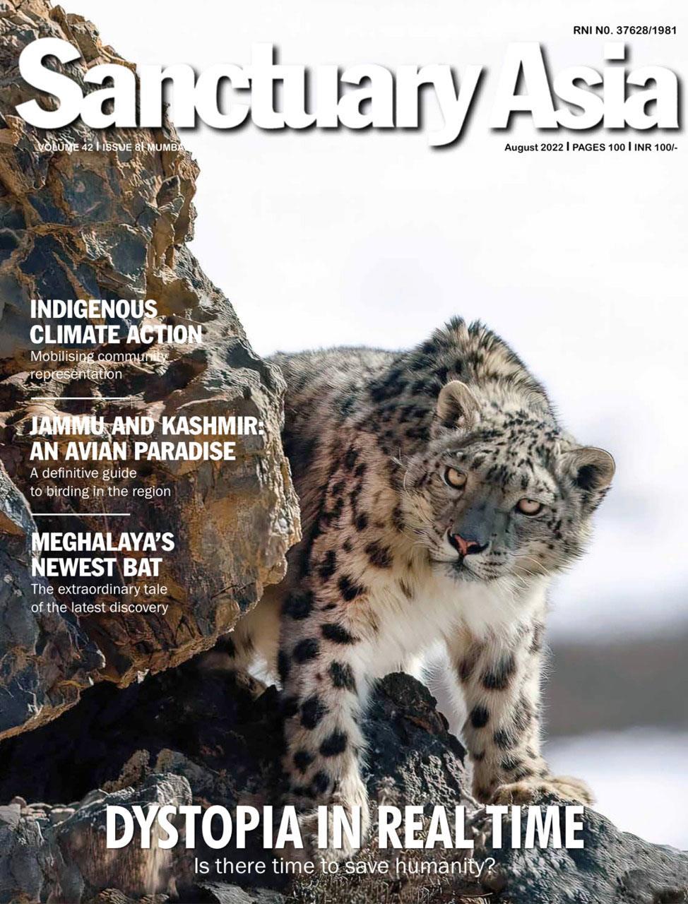 Jalandhar lensman's work on nature and wildlife magazine's cover