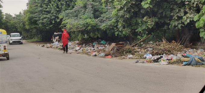 Dumping of garbage continues alongside roads
