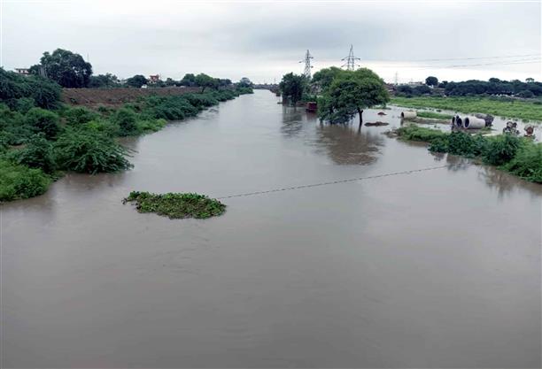 In Patiala, govt departments put on flood alert