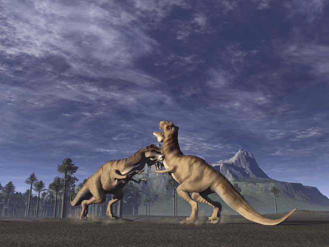 Big head, small arms: A newly discovered gigantic dinosaur evolved in a similar manner to Tyrannosaurus rex