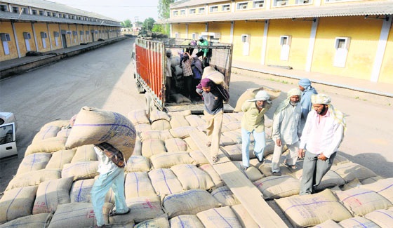 Wheat worth Rs 3.09 crore embezzled in Ferozepur