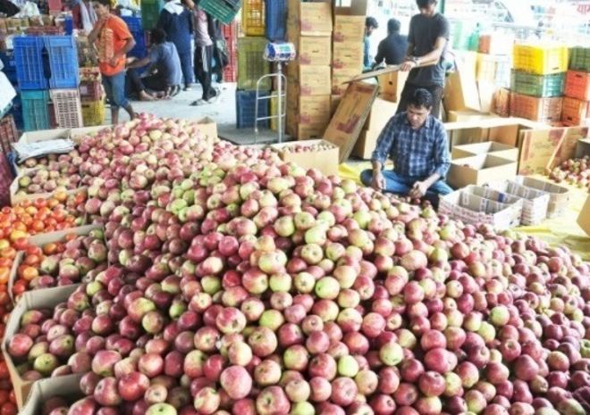 Adani group announces apple procurement prices