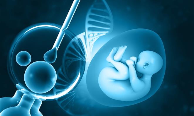 First synthetic embryos: The scientific breakthrough raises serious ethical questions