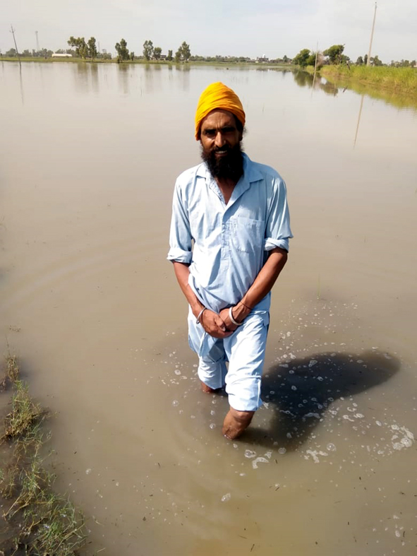 Double whammy for paddy growers in Muktsar