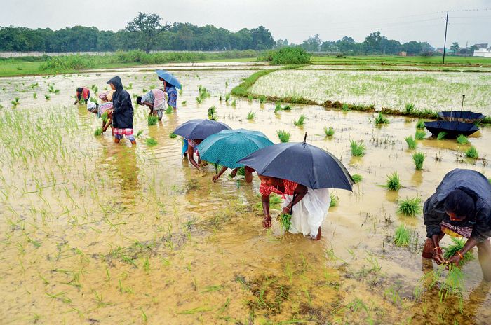 Normal rains likely in August, September