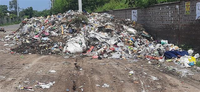 Heaps of garbage dot Sangrur city