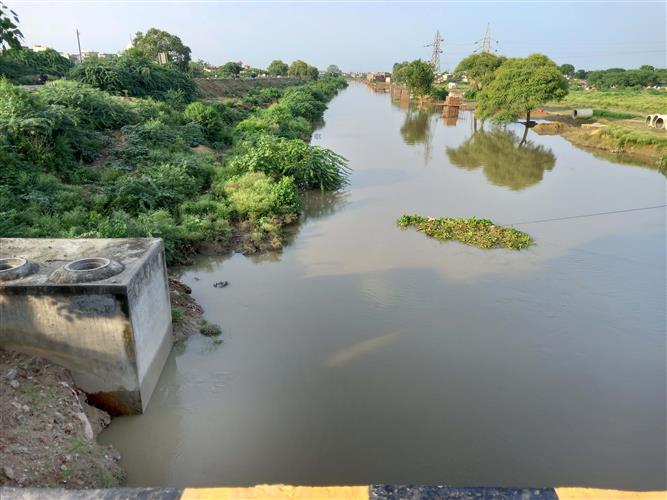Patiala residents relieved as Chhoti, Badi Nadi water level recedes