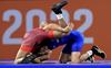 Vinesh, Ravi, naveen grab gold; wrestlers sign off with 12 medals