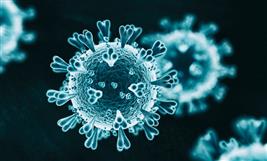 44 more contract virus in district