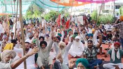 Survival under threat, not going anywhere until dues cleared, say Farmers protesting in Phagwara