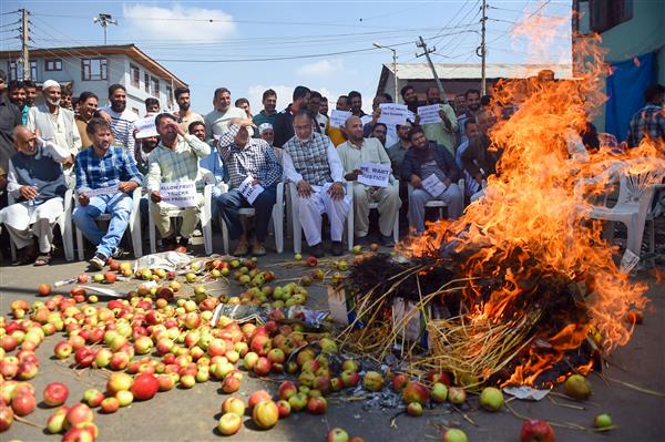 8,000 apple-laden trucks stranded on highway, farmers hold protest in Kashmir