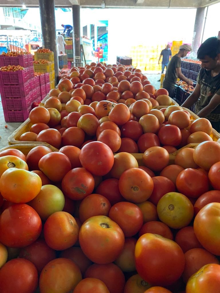 Solan: Tomato price picks up after steep fall