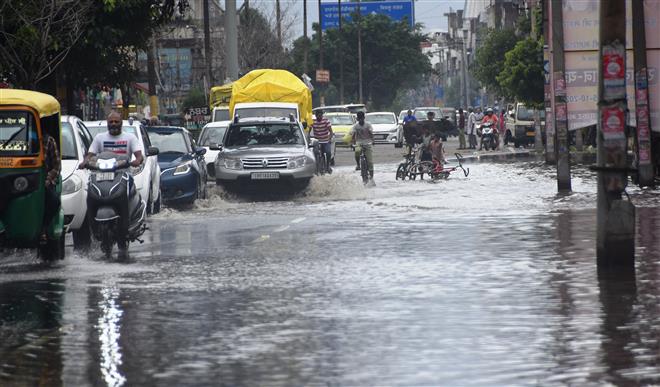 Ludhiana district records 113 mm rainfall in 24 hours