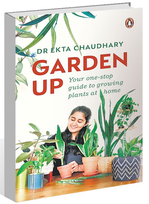 ‘Garden Up’ by Ekta Chaudhary dumbs down the science of gardening : The Tribune India