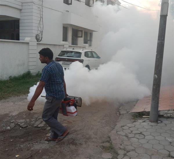 72 dengue cases in twin cities; Yamunanagar-Jagadhri MC intensifies fogging