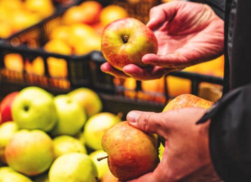 Apples sell at Rs 491 in Delhi, Himachal Pradesh growers getting Rs 60/kg