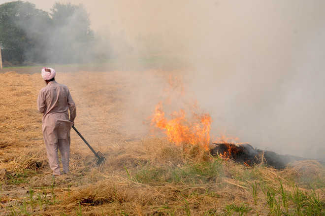 Officers have task cut out as farm fires likely to start early in Punjab