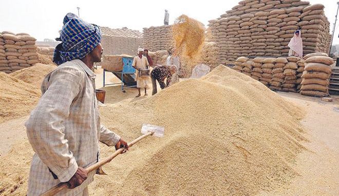 Inspector booked for bungling 1,800-qtl wheat