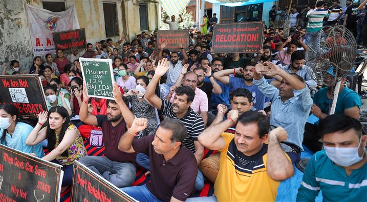 On strike for months, Kashmiri Pandits' salaries to be withheld