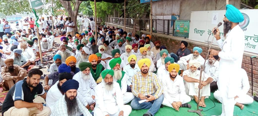 Fatehgarh Sahib paddy farmers stage sit-in, seek crop loss relief