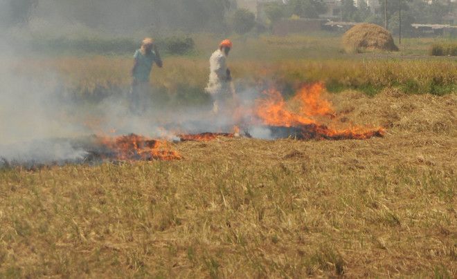 Cheema tours Dirba, calls for shunning farm fires