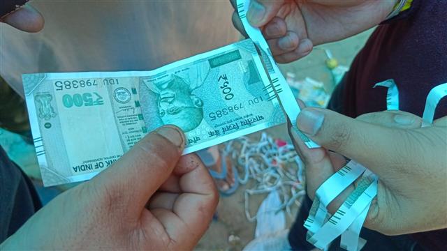Shredded 'currency notes' found in Solan fruit boxes
