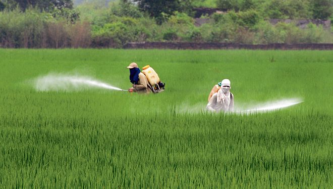 Indian firms sign MoU with Canada’s Canpotex for long-term stability of fertilisers
