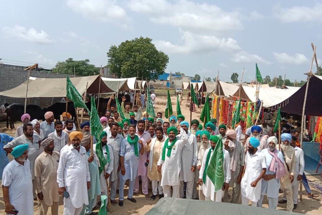 Cattle market reopens in Mansa without official nod