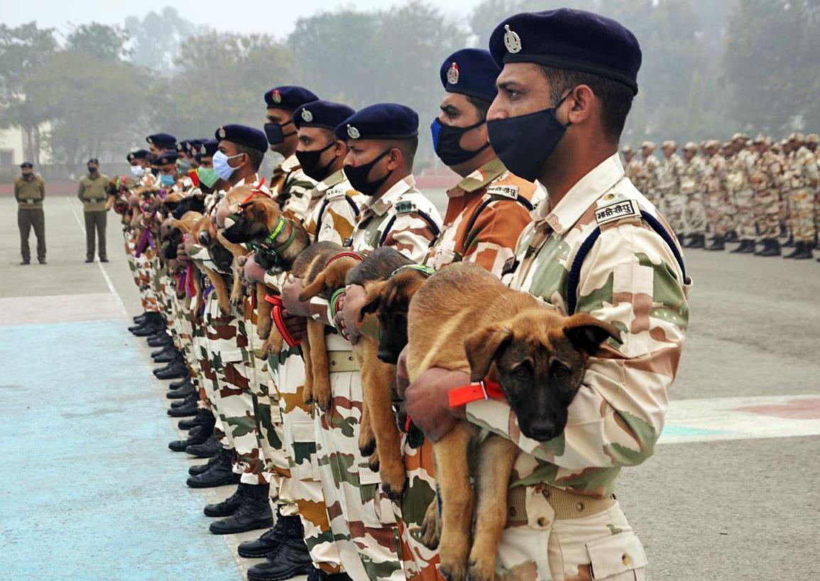 ITBP bolsters animal transport wing, promotes 64