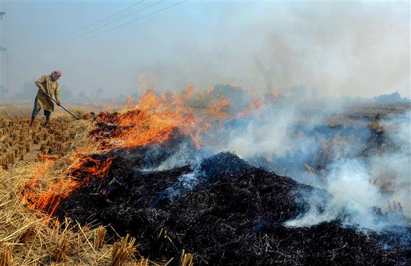 Adequate machinery meant to manage stubble burning not provided: Sangrur farmers