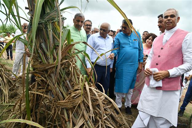 Haryana CM Manohar Lal Khattar discusses natural farming with his Gujarat counterpart