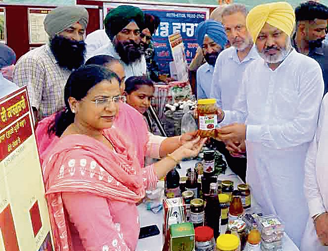 Will ensure farmers earn profit from stubble: Finance Minister Harpal Singh Cheema