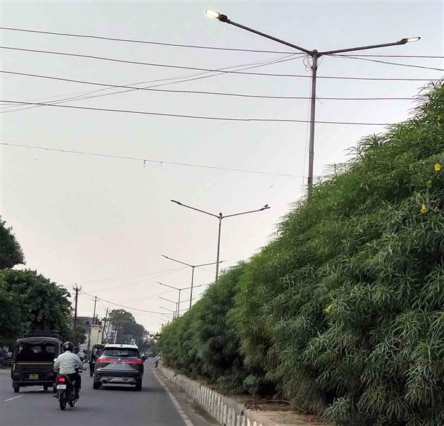 Residents irked over defunct street lights in parts of city