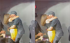Viral video: Enrique Iglesias shares passionate kiss with fan, social media shocked