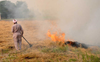 Rain brings temporary respite from farm fires in Punjab
