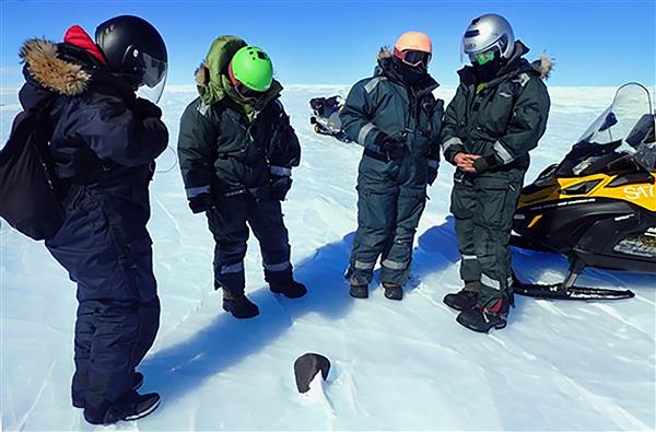 Meteorites found in Antarctica, could hold answers to Earth’s formation
