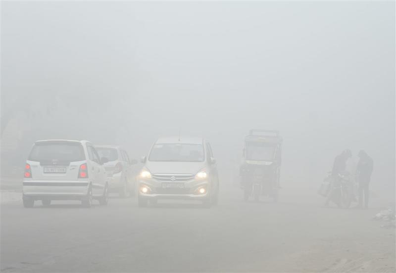 Cold conditions persist in Haryana, Punjab; Narnaul reels at 2.5 degrees Celsius