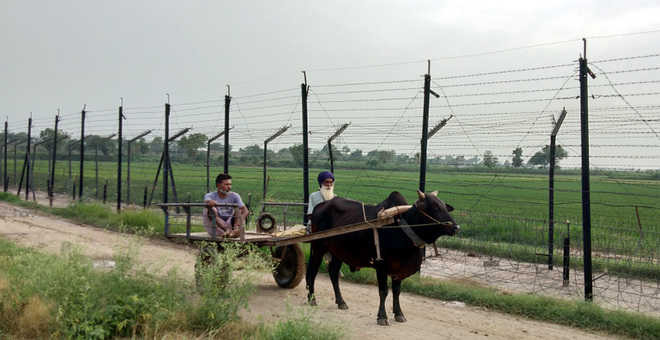 Barbed fence along IB to  be shifted, says Dhaliwal