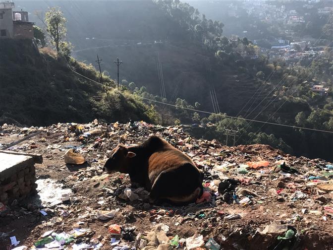 70 plastic dumps identified in Himachal via satellite imagery
