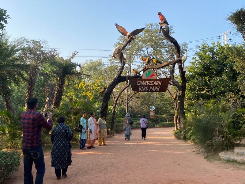 Happy Bird Day: Chandigarh Bird Park is one of its kind