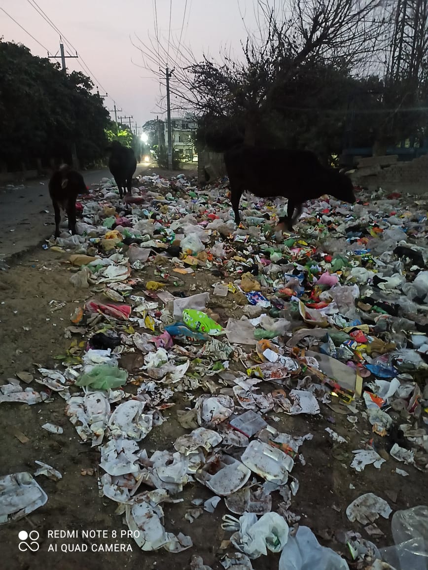 Garbage dumped in open spaces