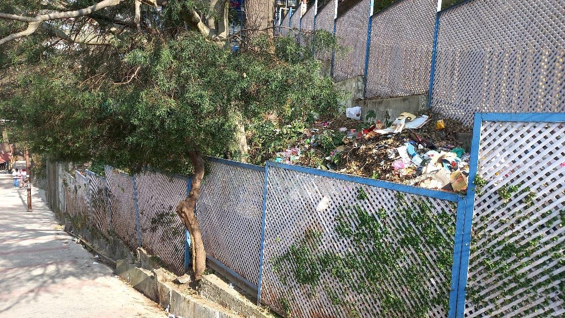 Garbage littered on road in Shimla